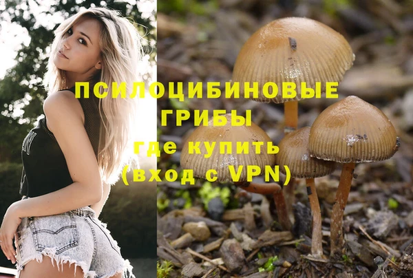 крисы Вяземский