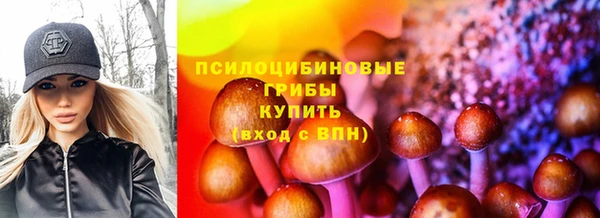 гашик Вязники